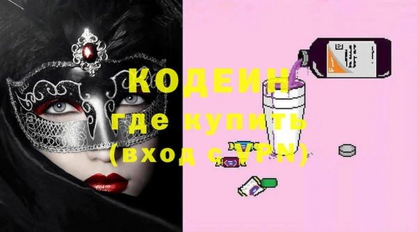 индика Бронницы