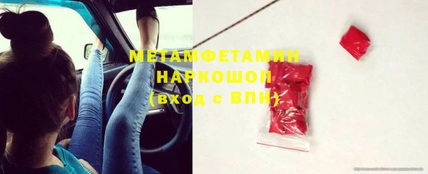 индика Бронницы