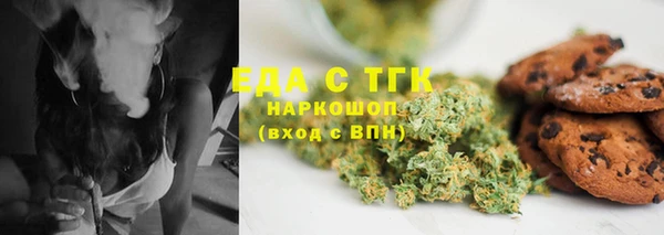 индика Бронницы