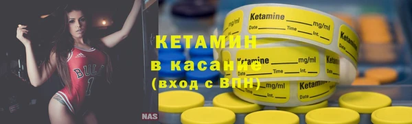 индика Бронницы