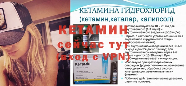 индика Бронницы