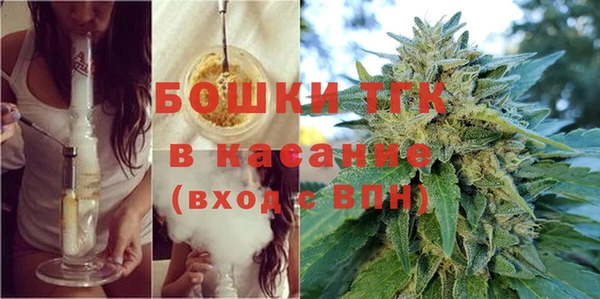 индика Бронницы