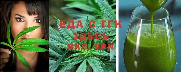индика Бронницы