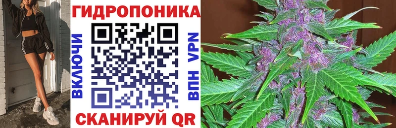OMG рабочий сайт  Назарово  Бошки Шишки сатива 